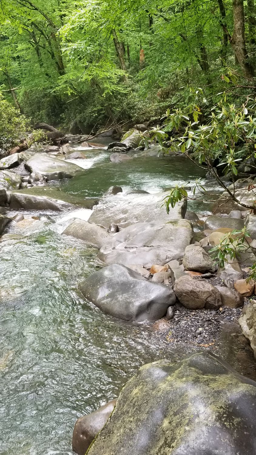 Porters Creek to Fern Falls 